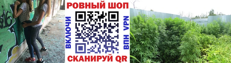 Наркотические вещества Гай Каннабис Псилоцибиновые грибы ГАШИШ Меф Alpha PVP Амфетамин