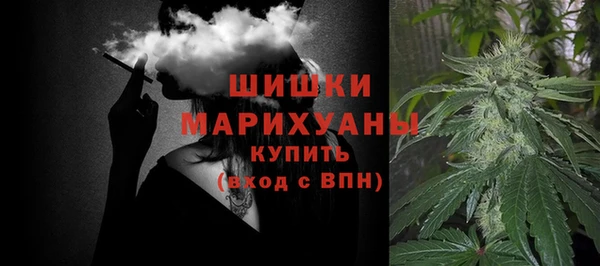 прущие грибы Богородск