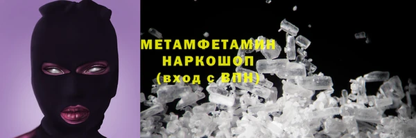 прущие грибы Богородск