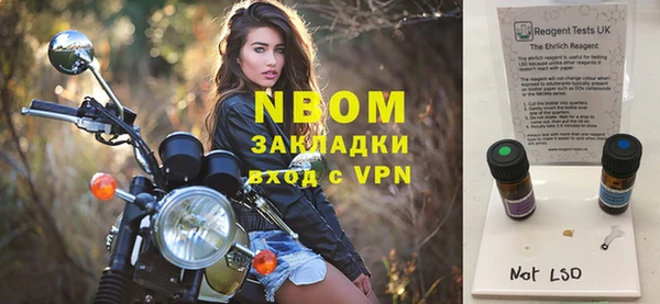 PSILOCYBIN Губаха