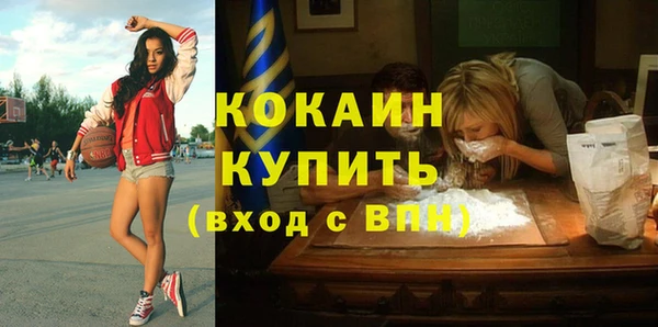 спиды Богданович