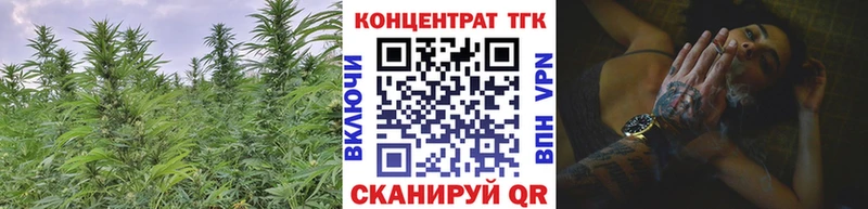 ТГК THC oil  Гай 