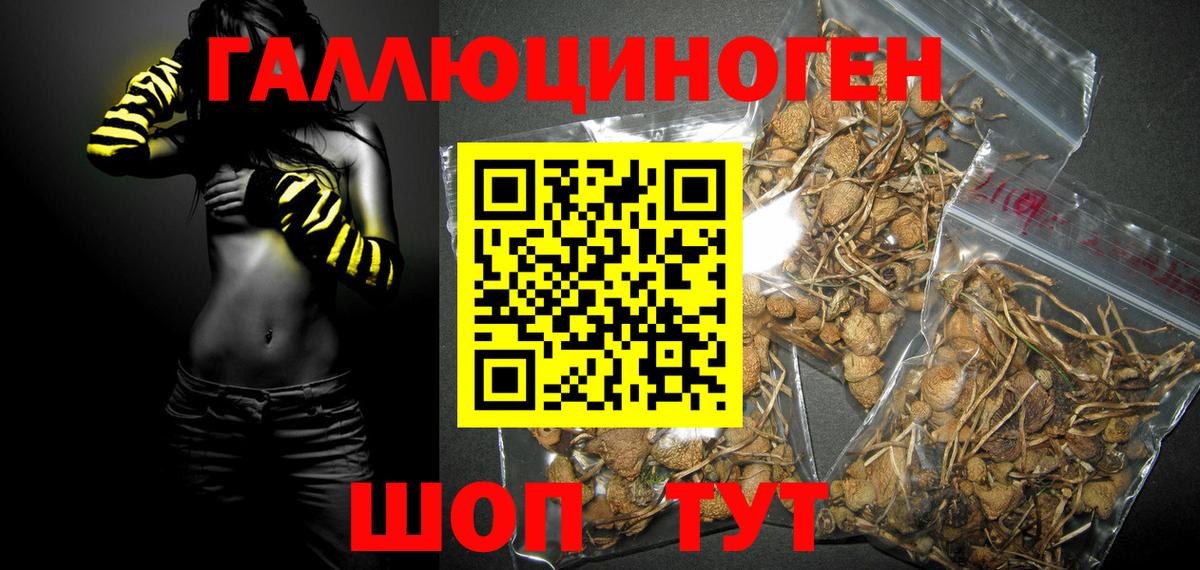 Псилоцибиновые грибы ЛСД  Псилоцибиновые грибы мицелий  Вход с VPN  Гай 
