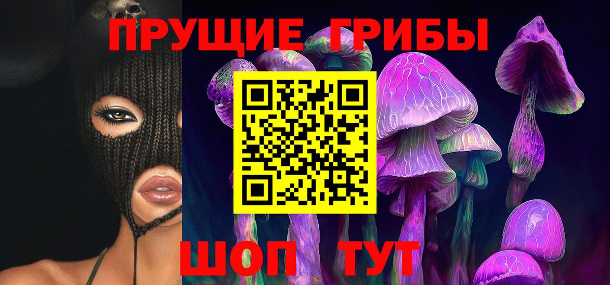Псилоцибиновые грибы мицелий Гай