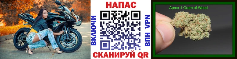Конопля MAZAR МЕГА ТОР Гай
